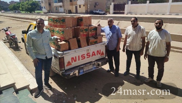 صورة أرشيفية