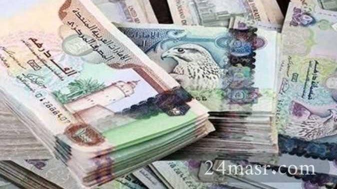 الدرهم الاماراتي
