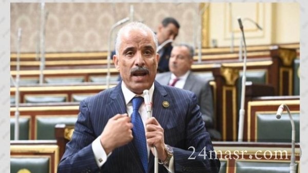النائب عيد حماد