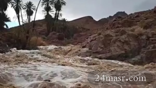 أرشيفية